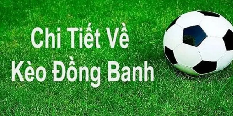 Có nhiều yếu tố khác nhau ảnh hưởng đến cách nhìn nhận kèo đồng