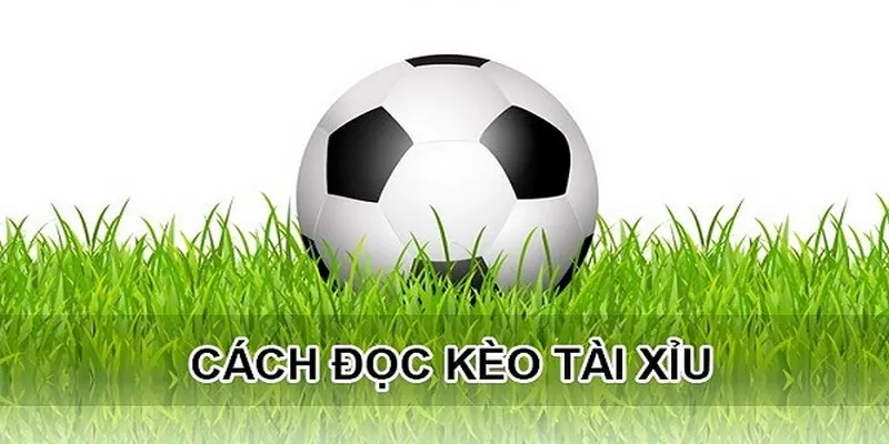 Có nhiều yếu tố khác nhau ảnh hưởng đến kèo O/U