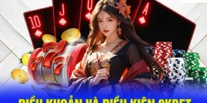 điều khoản và điều kiện