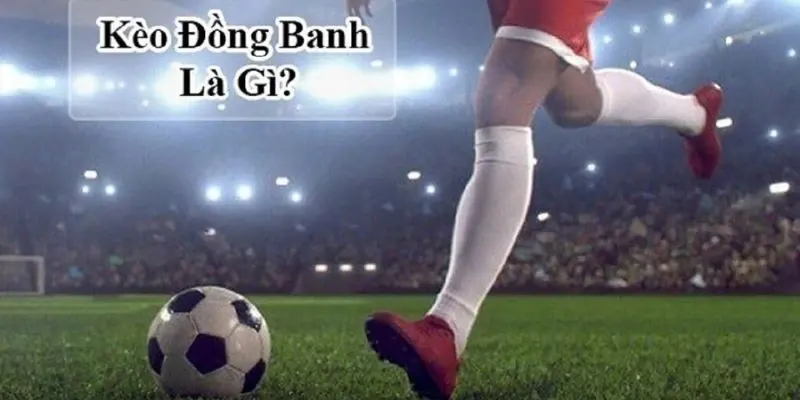 Thế nào là kèo đồng banh - Giải thích đơn giản cho người mới
